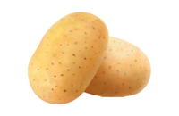 Potato